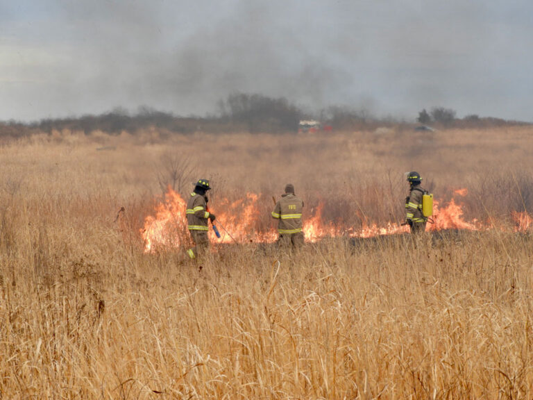 FIFD tackles Controlled Burn 2023